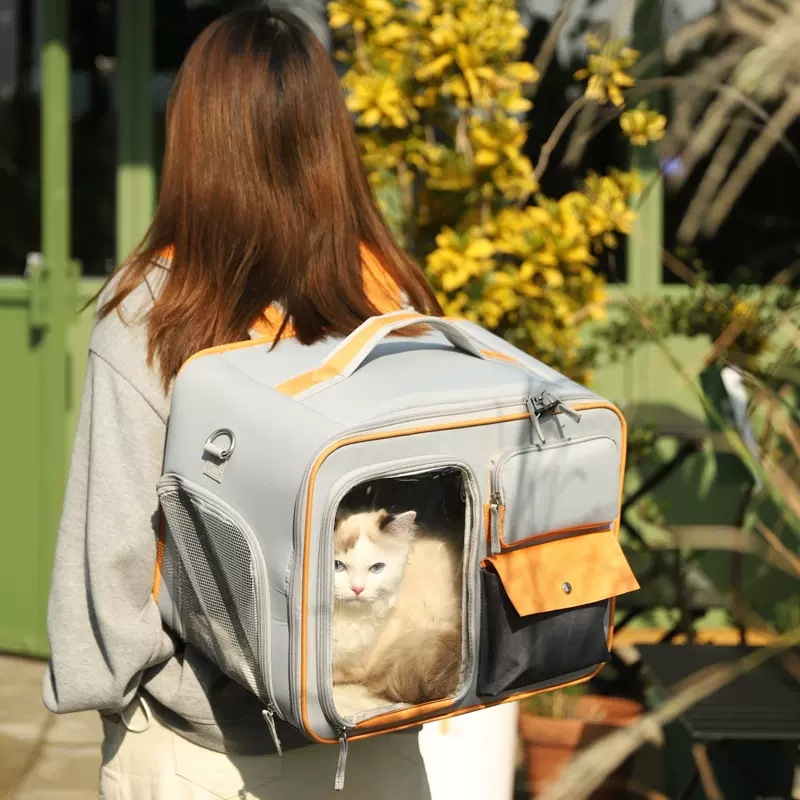 Large Capacity Cat Backpack