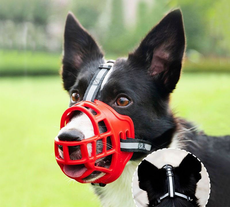 Reflective Dog Muzzle Cover
