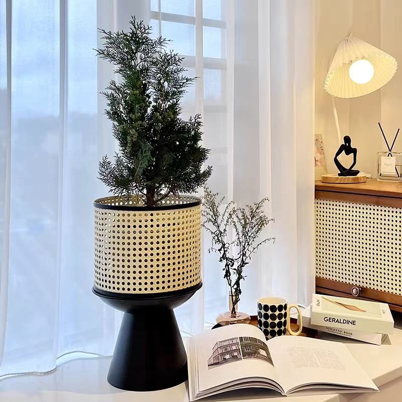 Wrought Iron Plant Stand