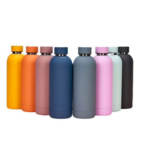 500ml Double Wall Water Bottle