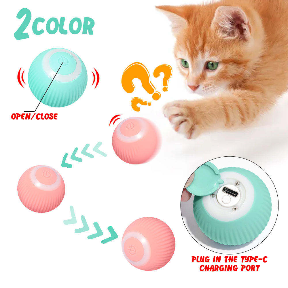 Pet Groom Clip
