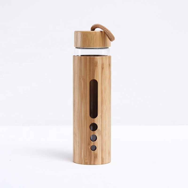 Portable Glass Drinking Water Bottle
