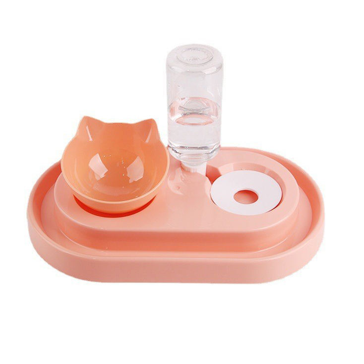 Auto Water & Food Dispenser