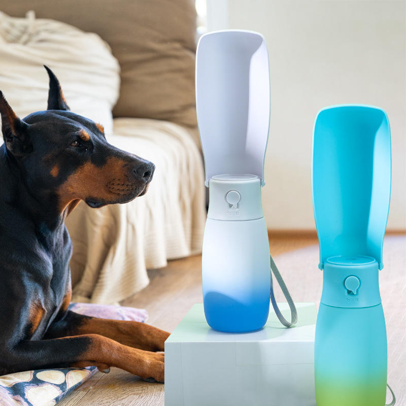 Large Foldable Pet Water Bottle