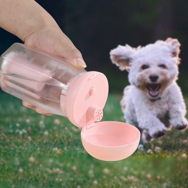 300ml Travel Pet Bottle