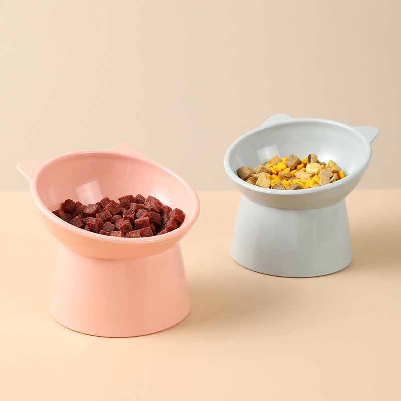 Cute Bear Elevated Bowl