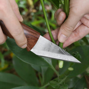 Stainless Steel Folding Knife