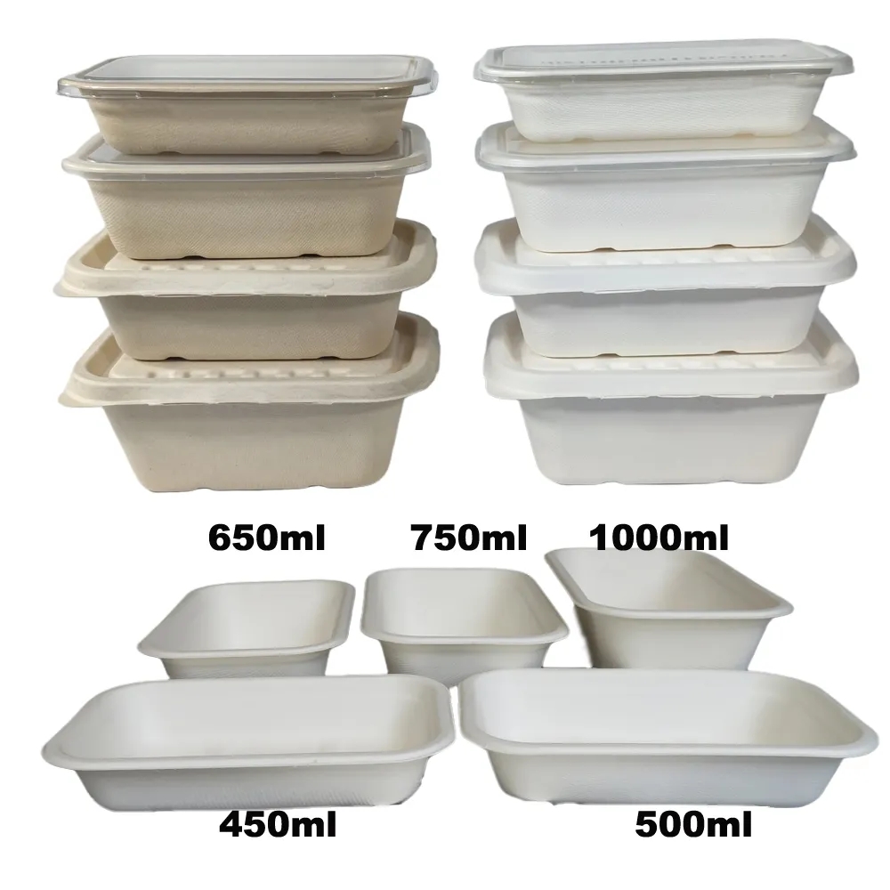 Cornstarch Lunch Box Rectangle