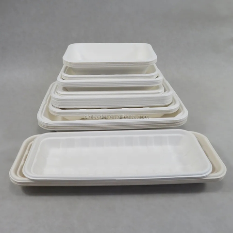 Sugarcane Fiber Trays Meat Fruit