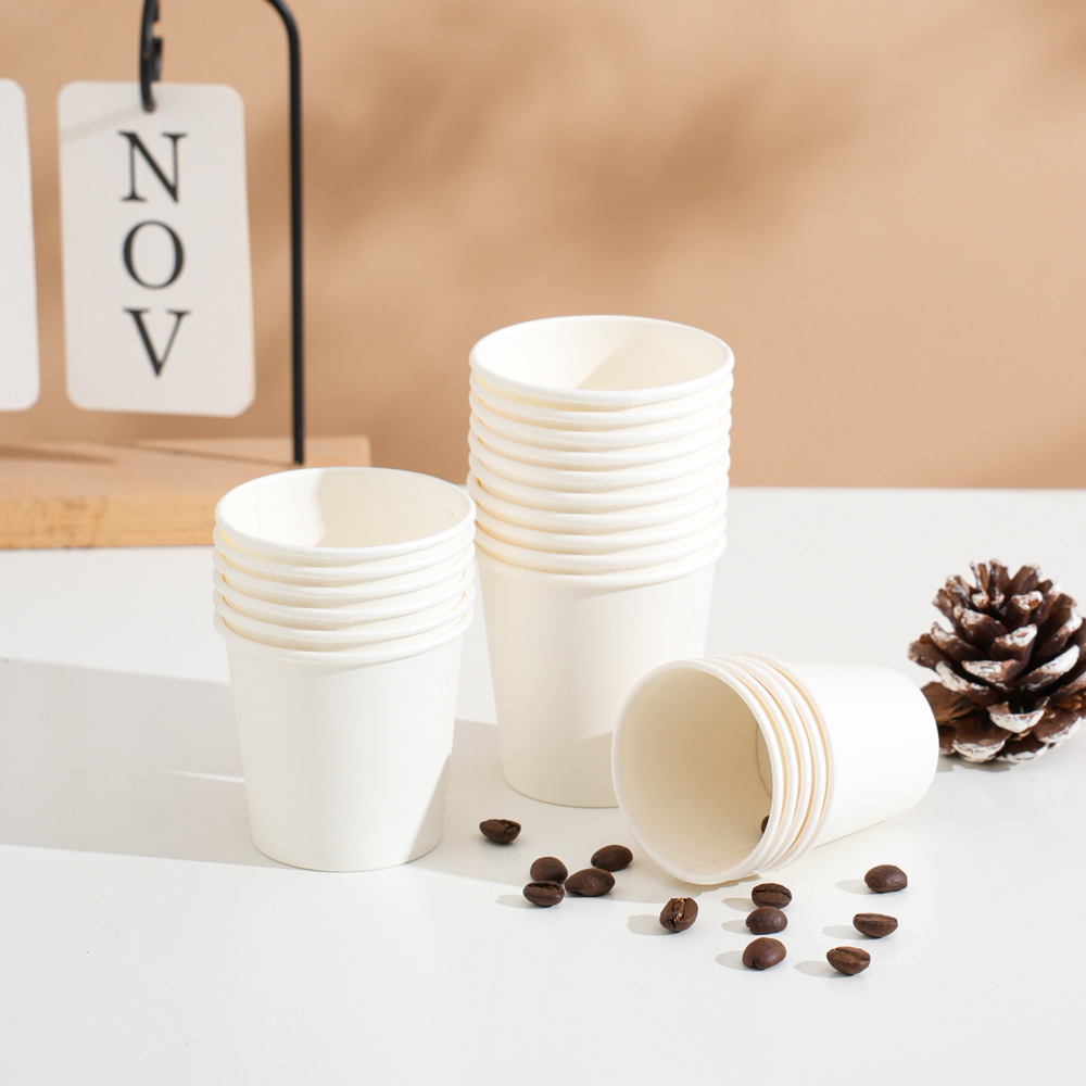 Double Layer HolCup with Lid