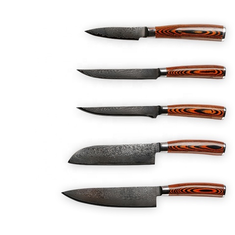 5pcs High Carbon Damascus Professional Knife Set
