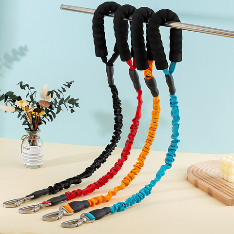 Heavy Nylon Leash Large Dog Clip
