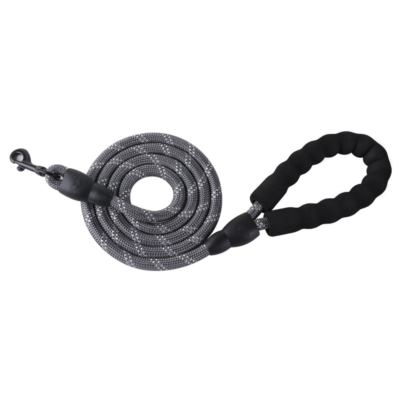5FT Nylon Dog Leash
