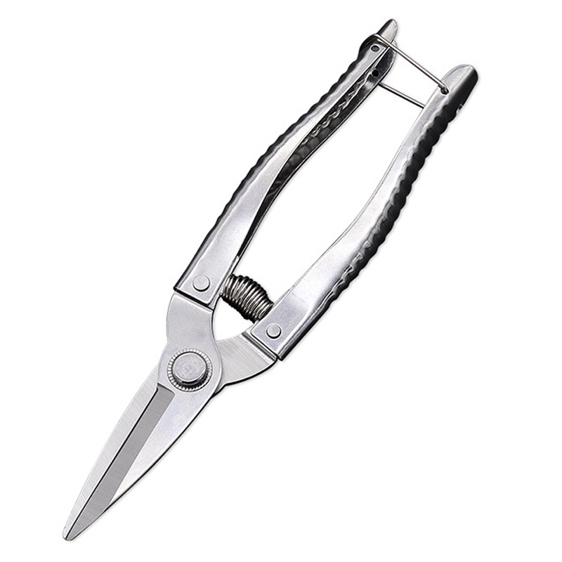 Flower And Fruit Tree Pruning Shears