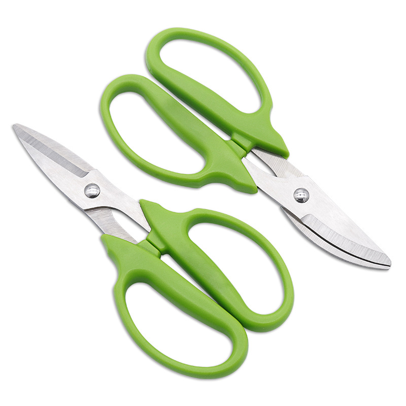 Grape Tip Pruner