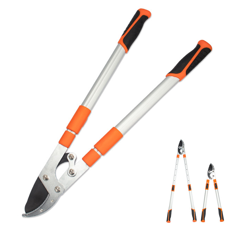 Sk 5 Telescopic Gardening Shears