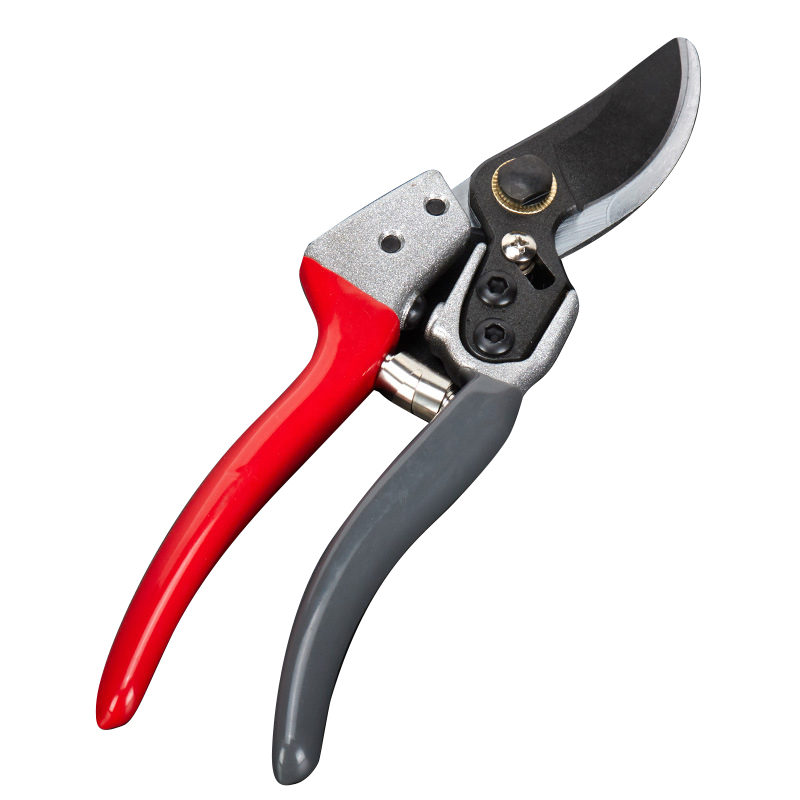 SK5 Fruit Pruner