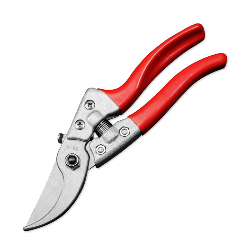 SK5 Fruit Pruner