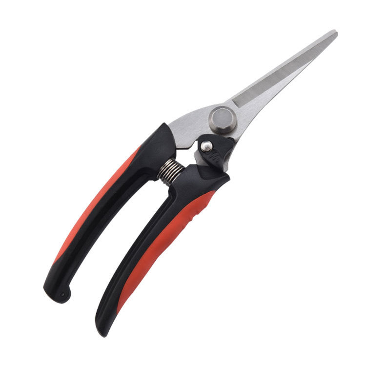 Curved Bonsai Scissor