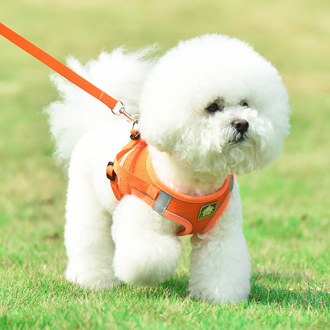 Breathable Mesh Vest Harness Lead