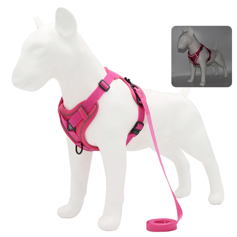 Reflective Harness & Nylon Leash Set
