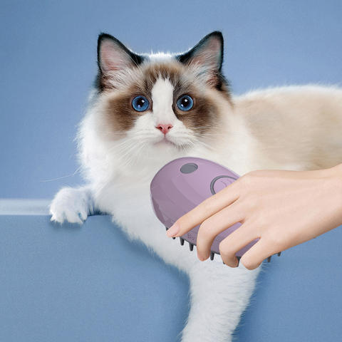 Whale Pet Spray Massage Comb